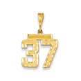 thumbnail image 1 of Solid 14k Yellow Gold Medium Diamond-cut Number 37 Charm Pendant, 1 of 2