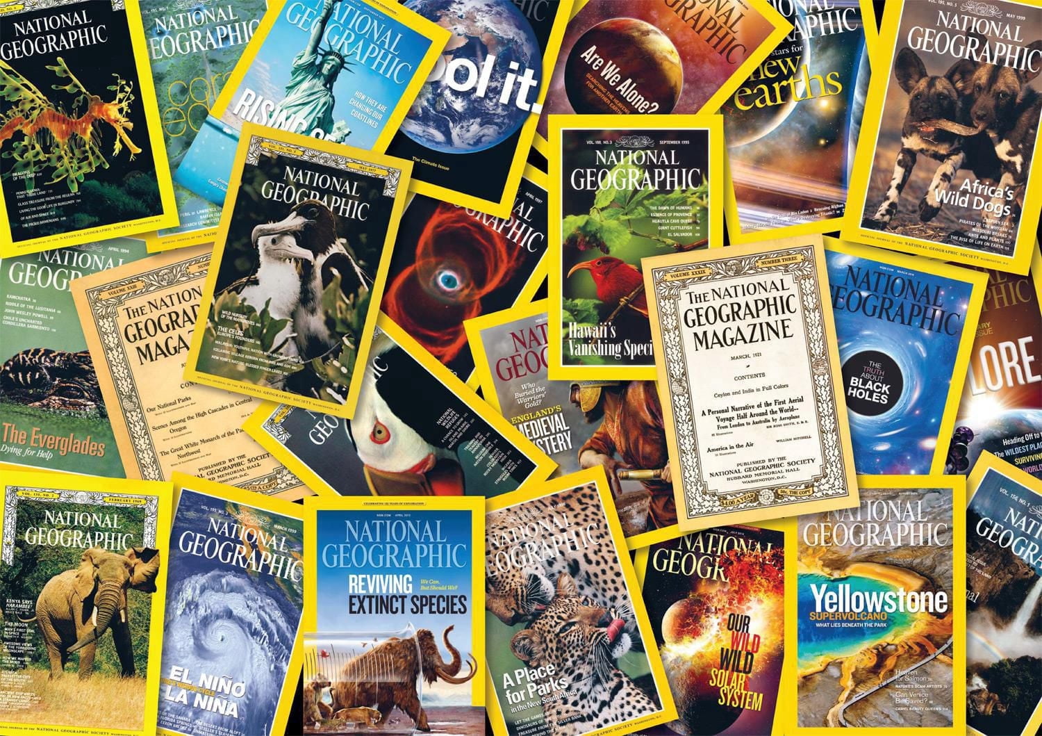 Buffalo Games - Le puzzle National Geographic - Magazines - en 500 pièces