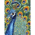 thumbnail image 2 of Vitaletti, Carolee 19x24 Black Ornate Wood Framed with Double Matting Museum Art Print Titled - Plumed Peacock I, 2 of 4