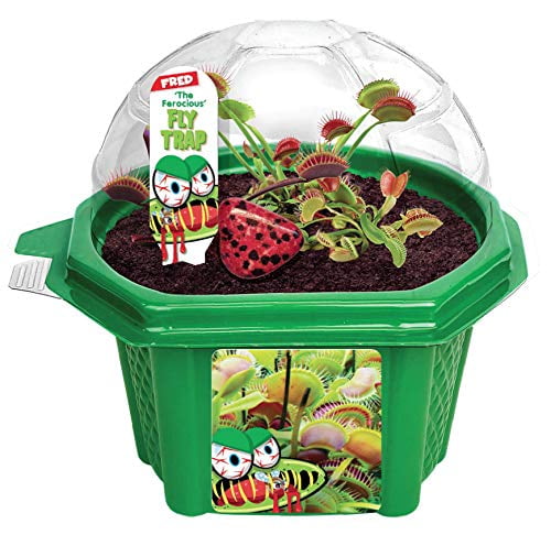 Toys By Nature - Fred the Ferocious Flytrap - Indoor Micro-Gardening Kit