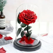 The Little Prince Eternal Rose Gift Box with Glass Cover - Perfect for Valentine's Day, Teacher's Day, Christmas, and more