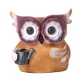 thumbnail image 4 of Owl Flower Pot Statue Decor Owl Flower Pot Figurine Cute Owl Flower Pot Sculpture for Entryway Tabletop Decoration Craft Anniversary Gift, 4 of 9