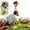 13in/32cm 1pc, variant on Realistic Large Porch Goose Statue, Adjustable Waterfowl Sculpture Statue with Removable Cowboy Hat Bandana, Premium Realistic Tall White Geese Figures for Backyard Yard Lawn Art Decoration