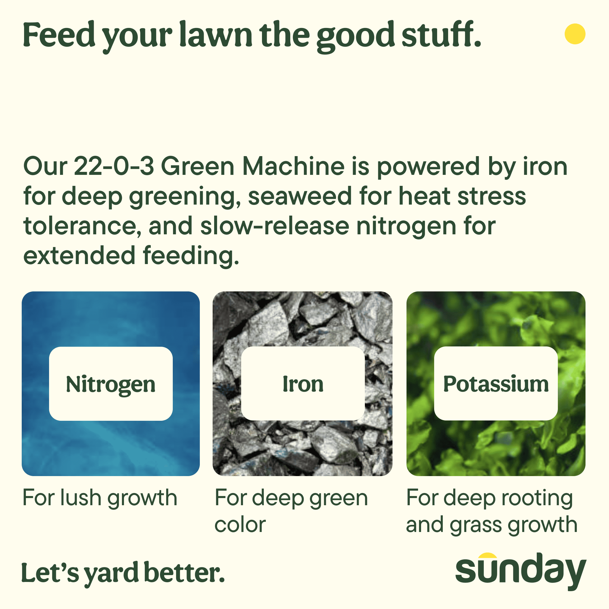 Sunday Green Machine Ready-to-Spray Liquid Lawn Fertilizer (22-0-3), 42.3 oz, 5000-Sq ft