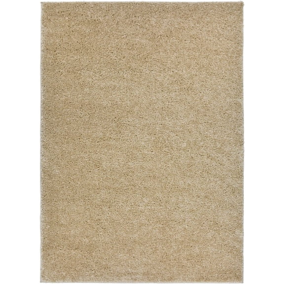 New Shaggy Collection Solid Color Shag Rug Different Color Options Available (Beige, 3'3"x5')