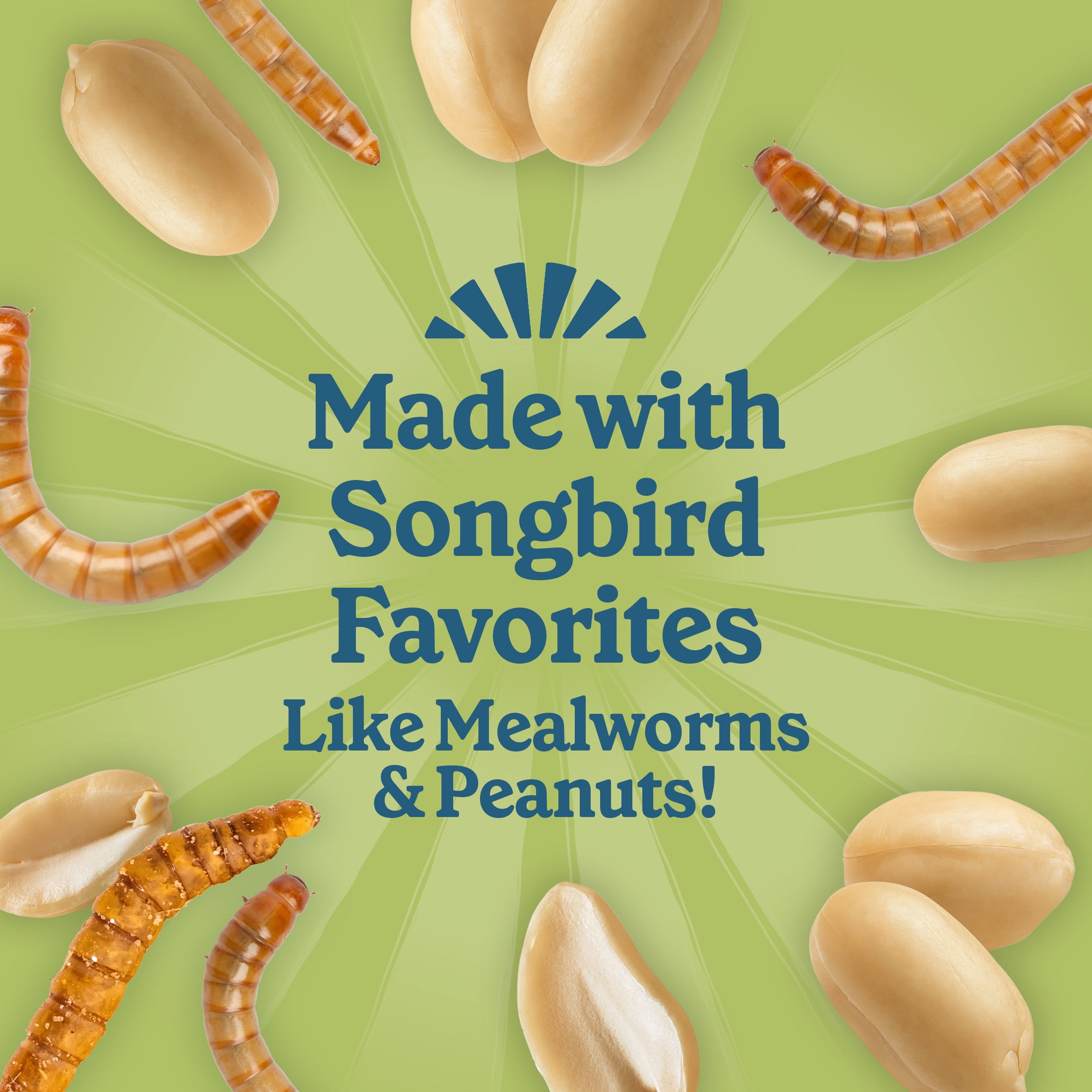 Pennington Feeding Frenzy Mealworm Suet Nuggets, 27 oz, Wild Bird Food, Fresh, 1 Pack