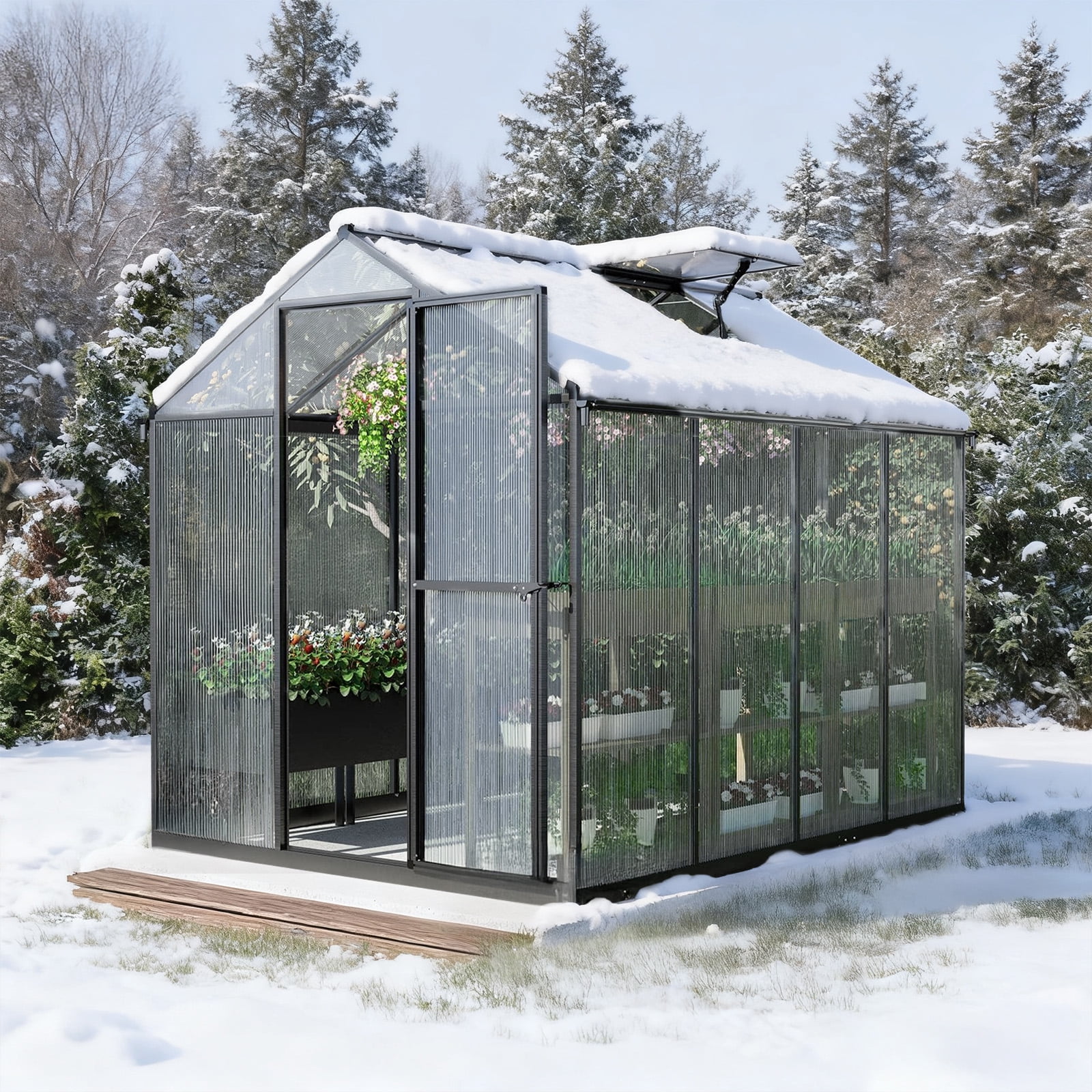 Aoodor 6' x 8' Outdoor Greenhouse, Walk-in Polycarbonate Greenhouse with Aluminum Frame for Outside Backyard, Black