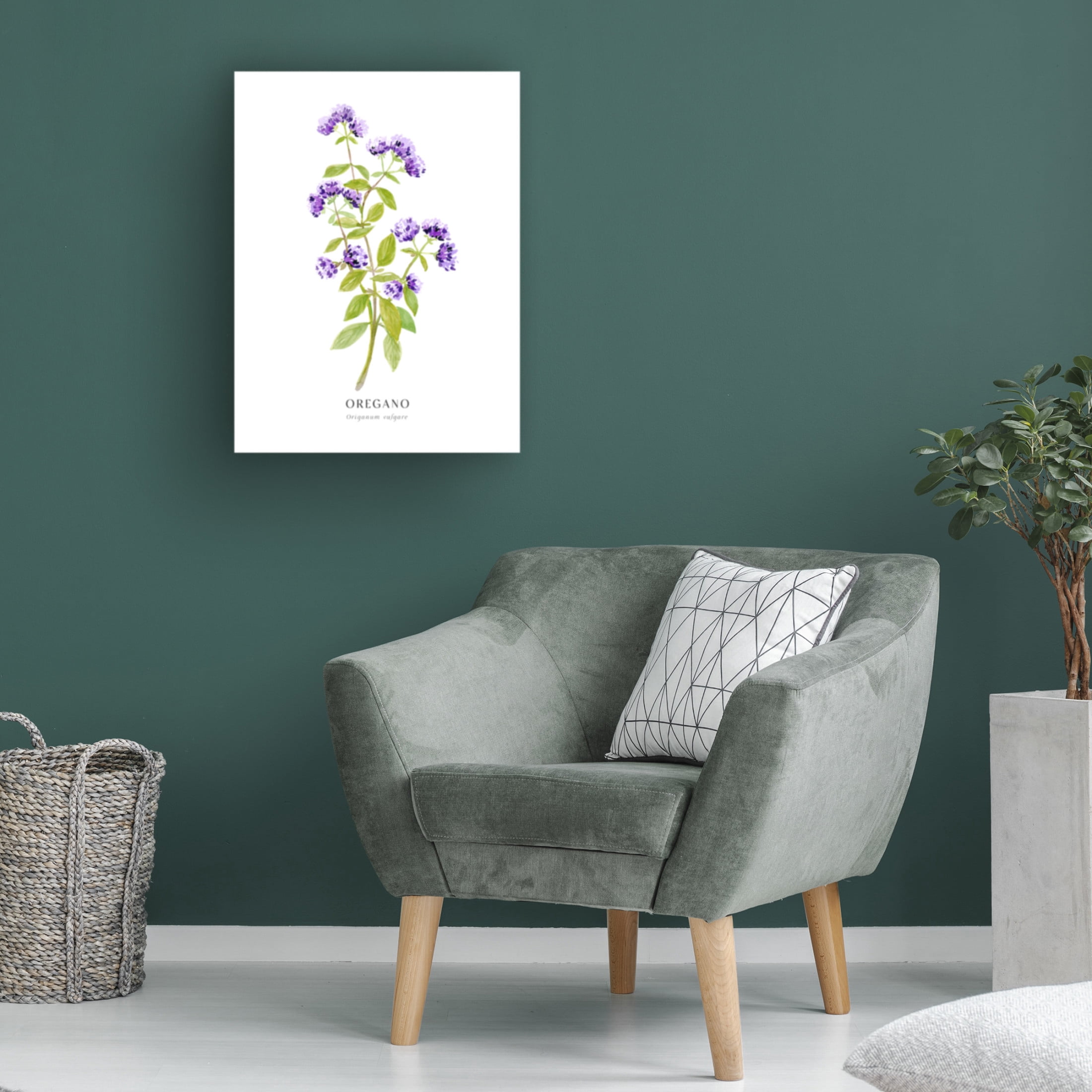 Trademark Fine Art Rosana Laiz Blursbyai Oregano I Canvas Wall Art