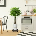 thumbnail image 3 of MIANGASTORE Flowerpot Planter Trolley Caster with Wheels for Plant Moving, 3 of 6