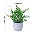 thumbnail image 3 of Felwors Petit Pot Bonsaï Décoration de Bureau pour Salon, 3 of 7
