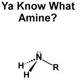 thumbnail image 3 of CafePress - Ya Know What Amine (1200X1500) Light T Shirt - Light T-Shirt - CP, 3 of 4