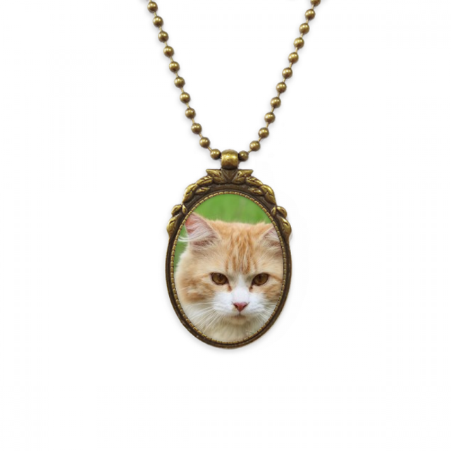 Rayas amarillas Cat Stare animal Collar Colgante Vintage de bronce antiguo de joyeria de lujo de regalo Unbranded M