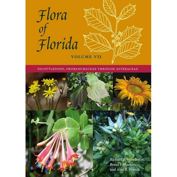 Flora of Florida, Volume VII: Dicotyledons, Orobanchaceae through Asteraceae, (Hardcover)