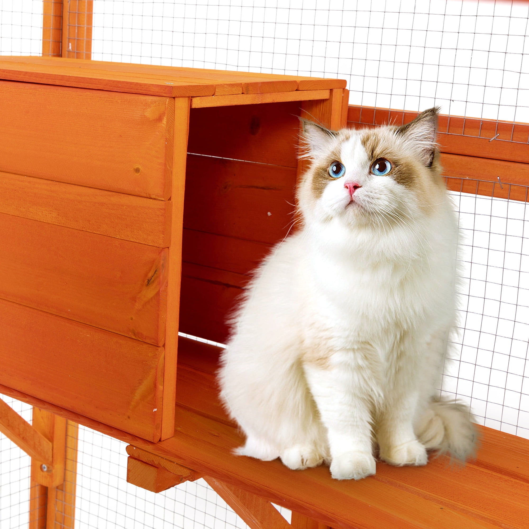 Coziwow Cat Enclosure Cat House Catio Small Animal Playpen Outdoor, Orange