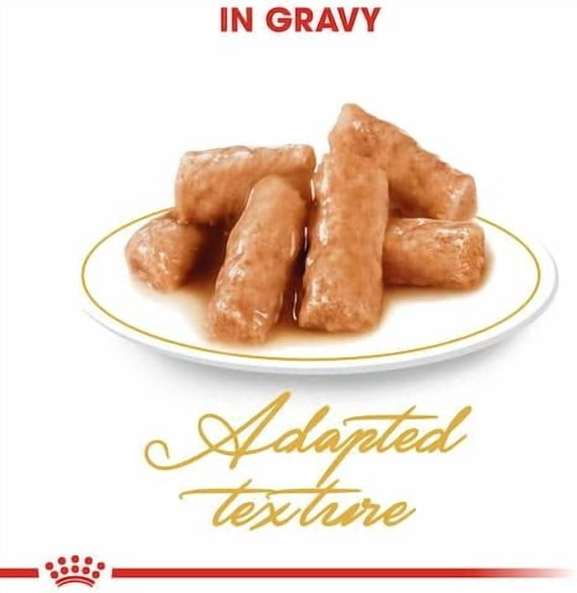 Royal Canin British Shorthair Cat Wet Food in Gravy 12x85g