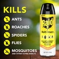 thumbnail image 4 of Raid Multi Insect Killer Aerosol Kills Ants Spiders Roaches and Flies No Lingering Chemical Odor Indoor and Outdoor Use 15 Ounce (Pack of 4), 4 of 5