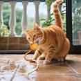 thumbnail image 4 of TIELUTT Cat Chew Rope Toys Late Toys Indoor Cat Toys for Boredom Teeth Cleaning and Chewing Cat Toys Indoor Cat Dog Squeaky Large the Rabbit Mini Rabbit Pet for Dogs Small Breed Dog Travel Puppy Teet, 4 of 5