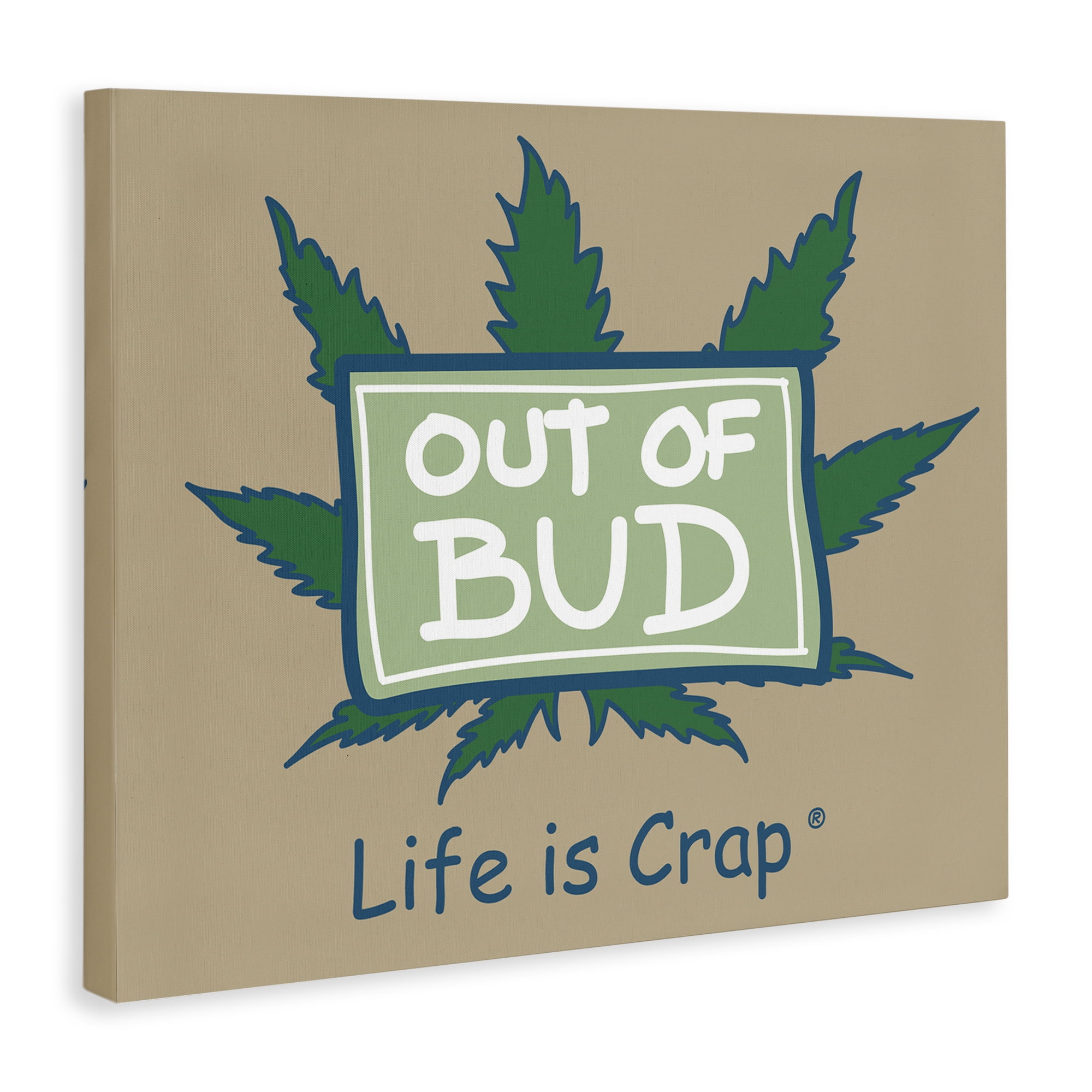 Stupell Industries Funny Out Of Bud Novelty & Humor Painting Wrapped Canvas Art Print Wall Art, 48 x 36