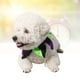 thumbnail image 3 of 2 collares delicados y hermosos para Halloween para mascotas, para fiestas, talla S (negro, verde y morado), 3 of 6