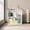 White, variant on NEWSENDY 2 Shelf Bookcase Book Shelves Open Storage Cabinet Home Office Bedroom Furniture Small Freestanding Bookshelf, Wide Storage Organizer for Living Room, Open Display Rack for Home Office