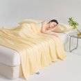thumbnail image 1 of Tyidzon Bedding Cool Feeling Skin Friendly Solid Color Washed Cotton Summer Breathable Comforter, 1 of 6