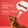 thumbnail image 4 of DreamBone Peanut Butter Flavored Rawhide-Free Dog Chews, Large, 12 Oz. (3 Count), 4 of 10