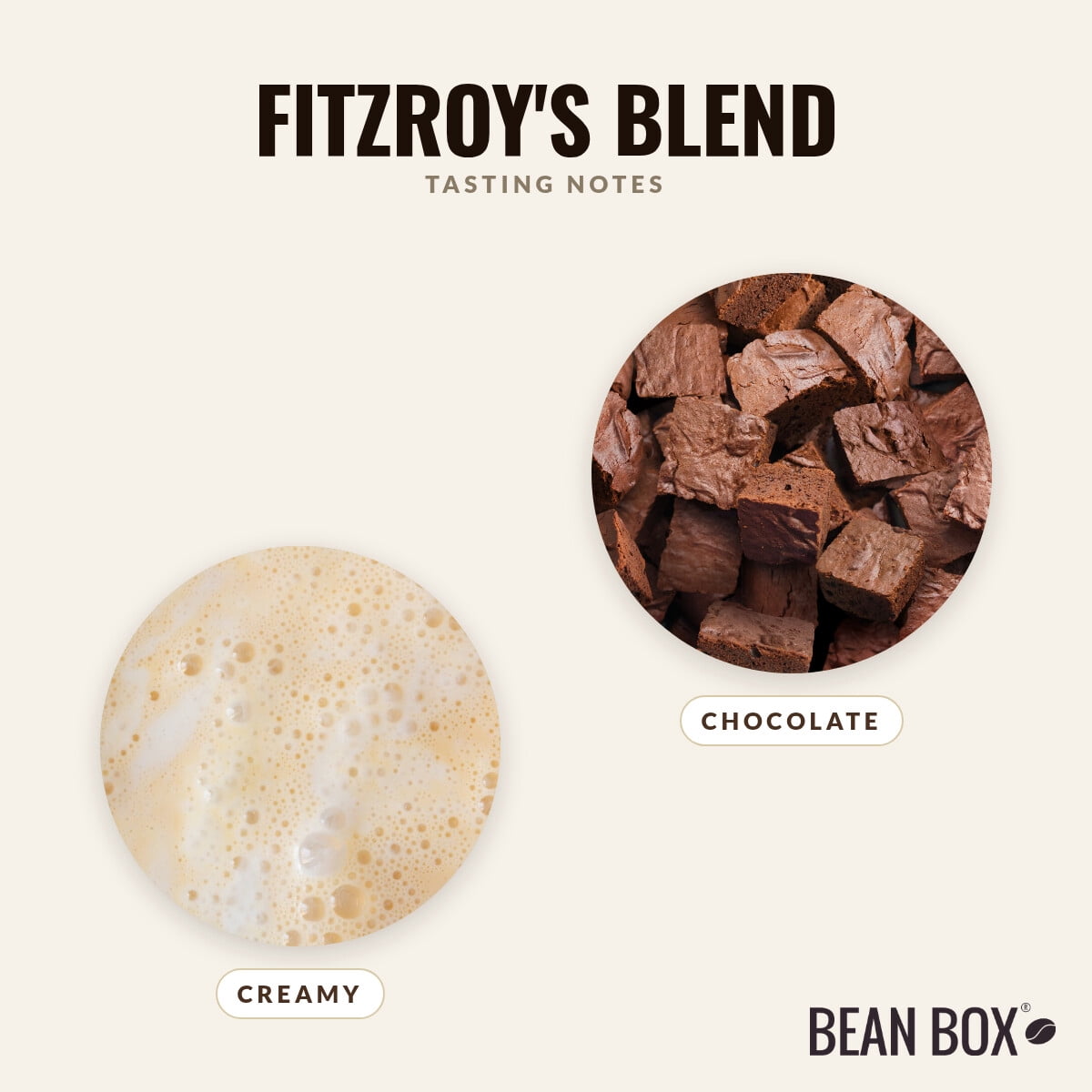 Fitzroy's Blend - Roasted by Zoka Coffee - Whole Bean Coffee - 2lb Bag