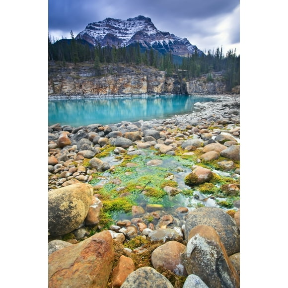 Athabasca River And Mount Kerkeslin At Athabasca Falls, Jasper National Park, Alberta Poster Print (11 x 17)