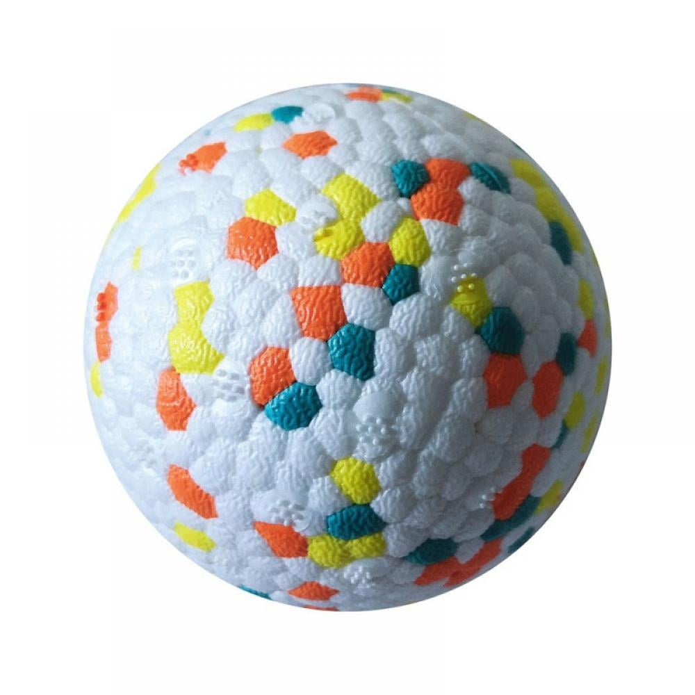 Dog bouncing beach ball online