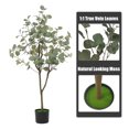 thumbnail image 4 of Artificial Eucalyptus Tree with Pot, 4/5/6FT Tall Fake Eucalyptus Plant for Indoor Outdoor, Faux Eucalyptus Tree with Lifelike Trunk and Realistic Silk Leaves for Home Office Living Room Floor Decor, 4 of 7