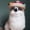 Multicolor, variant on Kiplyki Multicolor Dog Cat Mexican Straw Sombrero Hat Pet Adjustable Buckle Costume