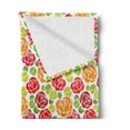 thumbnail image 2 of Rose Soft Flannel Fleece Blanket, Abstract Flowers with Lively Colored Petals and Green Leaves Botanical Summer Garden, Cozy Plush for Indoor and Outdoor Use, 70" x 90", Multicolor, by Ambesonne, 2 of 5