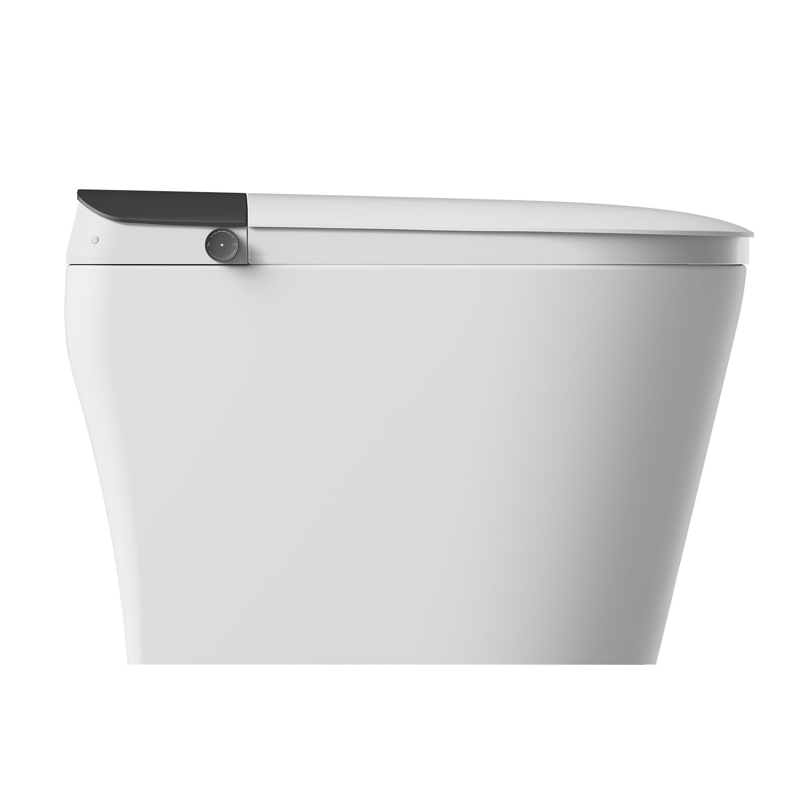 Bidet Toilets