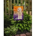 thumbnail image 2 of Carolines Treasures CK3209GF Hallween Champagne Cockapoo Jardin Taille Drapeau, 2 of 3