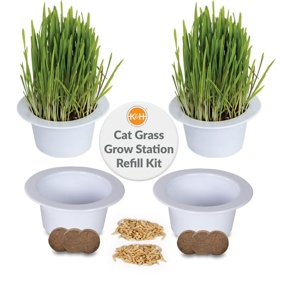 K&H Pet Products Cat Grass Grow Station Growing Cup Refills 2 Pack White 4 X 2 Inches