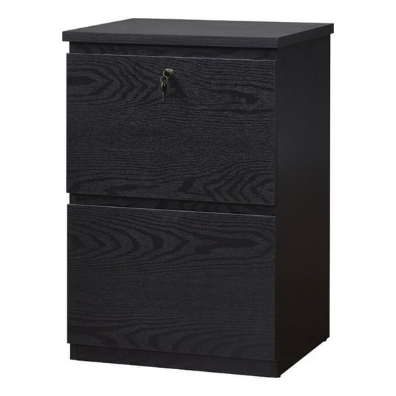 Pemberly Row 2-Drawer Engineered Wood/Metal File Cabinet with Lock in Black