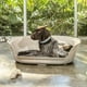 thumbnail image 2 of Cama Plástica Mascota Confortable Talla M Portátil Fácil de Lavar RIMAX, 2 of 8