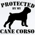 thumbnail image 2 of CafePress - Protected By My Cane Corso Infant Bodysuit - Baby Light Bodysuit, Size Newborn - 24 Months, 2 of 4