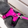 thumbnail image 5 of Mr. Peanut's PurrTrek Reflective Cat Harness with Matching Leash, 5 of 8