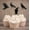 Glitter Black, variant on Darling Souvenir, Halloween Party Glitter Black Crow Cupcake Toppers, Party Dessert Cake Decorations - Pack Of 20