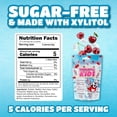 thumbnail image 4 of Bubblegum Kids ICEE Sugar Free Gum with Xylitol, Low Calorie Chewing Gum, Cherry Flavor, 55 Count, 4 of 6