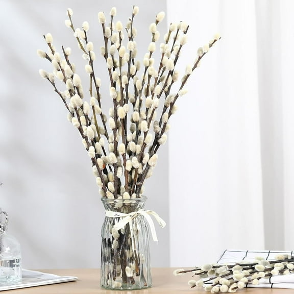 20 Stems 16'' Real Dried Pussy Willow Branches for Vase Natural PussyWillows Snow Willow Branches with White Flowers for Wedding Home Hotel Fireplace Yard Decor,Topboutique