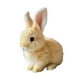 thumbnail image 5 of El animal relleno de juguete de conejo de lujoso eléctrico con orejas y nariz en movimiento puede saltar y hacer un juguete de mascota electrónica de Amarillo, 5 of 8