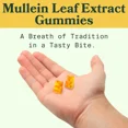 thumbnail image 2 of Mullein Gummies 1000 mg – Cuidado respiratorio natural, textura suave sabor a pera, 60 gomitas para uso diario, 2 of 5