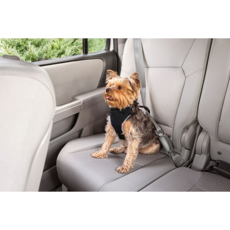 premier pet car safety harness small