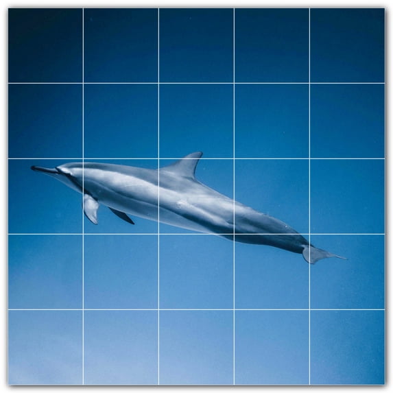 Picture-Tiles.com: Dolphin Ceramic Tile Wall Mural WAL500515-55M. 30"W x 30"H using (25) 6" x 6" Ceramic Tiles-Satin Finish