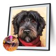 thumbnail image 2 of 5D bricolaje completo taladro diamante pintura animal punto de cruz artesanía kits hogar pared artes Hugtrwg Para estrenar, 2 of 9