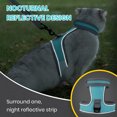 thumbnail image 4 of Pebbuoy 1 Set Pet Leash Adjustable Fastener Tape Reflective Cat Harness And Traction Leash Set for Outdoor Walks, 4 of 8