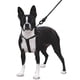 thumbnail image 1 of Mascretta Correa y Pechera para Perro Minimalista Mascretta  Pechera y Correa para Perro, 1 of 7