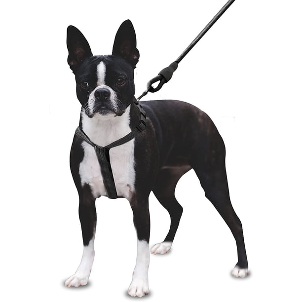 Mascretta Correa y Pechera para Perro Minimalista Mascretta Pechera y Correa para Perro